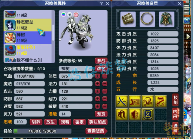 梦幻西游：刚满1年新区109狮驼，5件无级别，实力堪称“区霸”