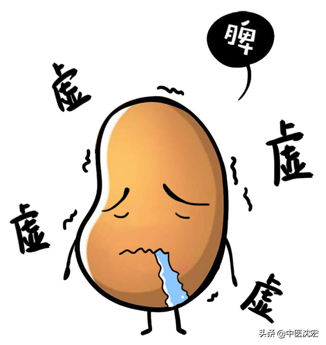 脾虚吃什么药 脾虚吃什么药效果最好