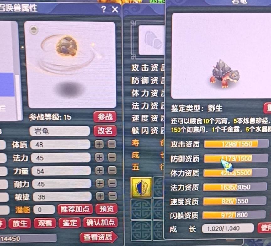 梦幻西游：新手的悲哀，被野生海龟骗走半车高兽决，放生变异海龟