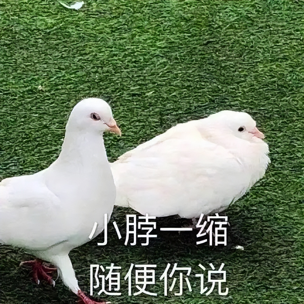 sin30度是多少 三角函数计算器