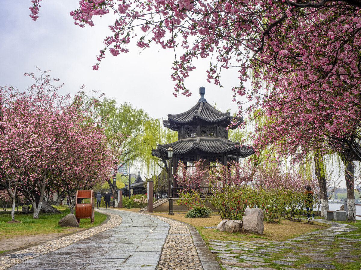 当唐诗宋词遇上春日美景,一起感受春天里的诗意美景