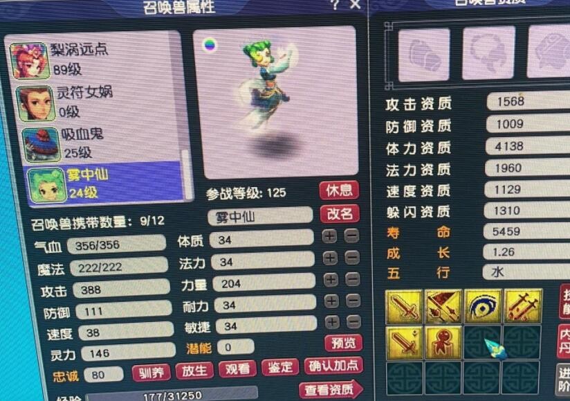 梦幻西游：不再相信梦幻的几率了，炼妖连出三个大海龟，累觉无泪