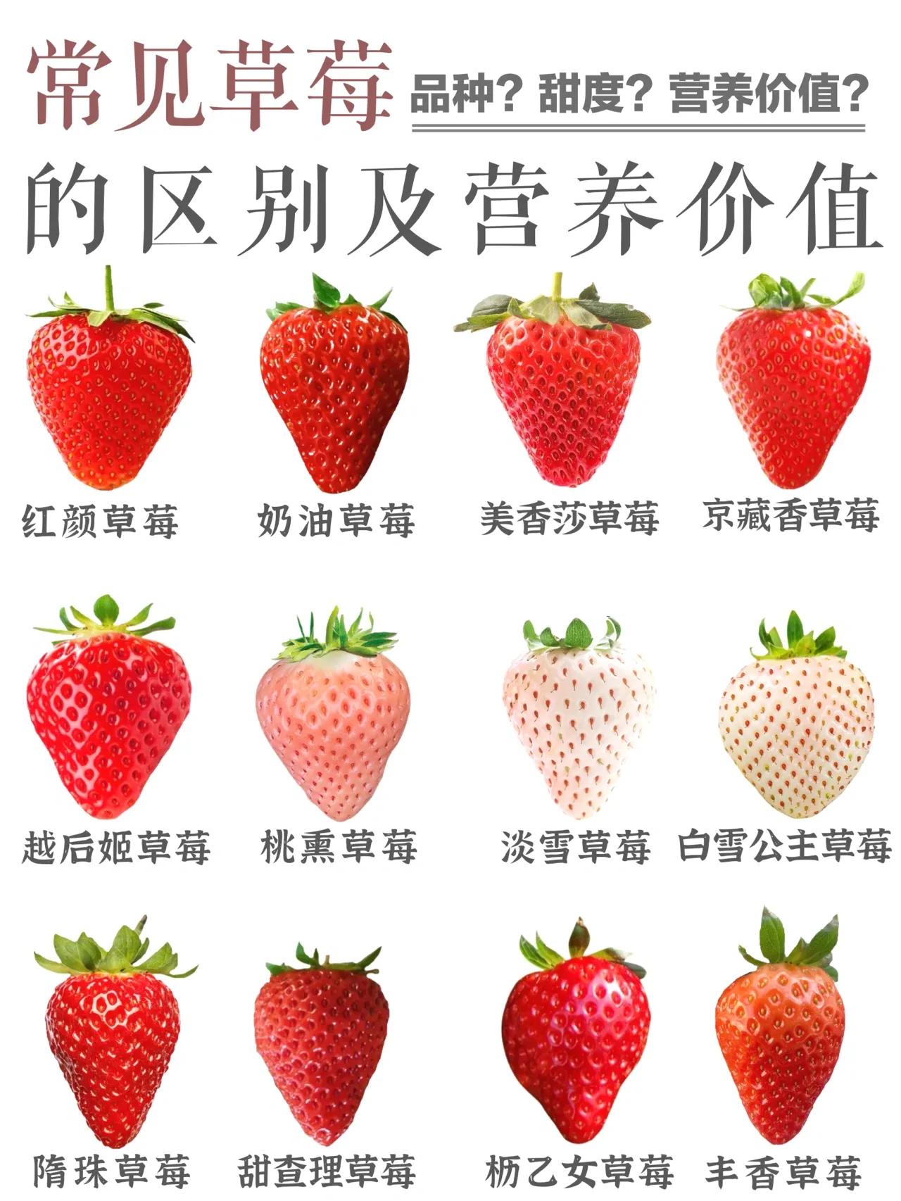 草莓的营养价值 草莓吃了有啥好处