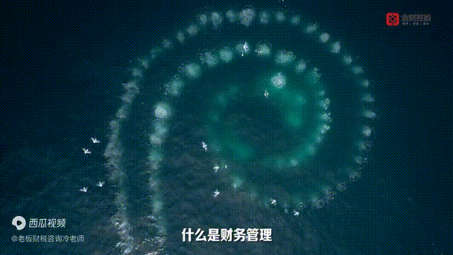 什么是财务管理 什么是财务管理环境