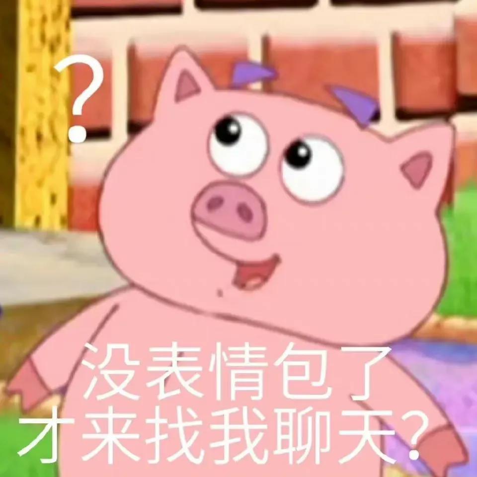 爱探险的朵拉 猫和老鼠动画片免费观看