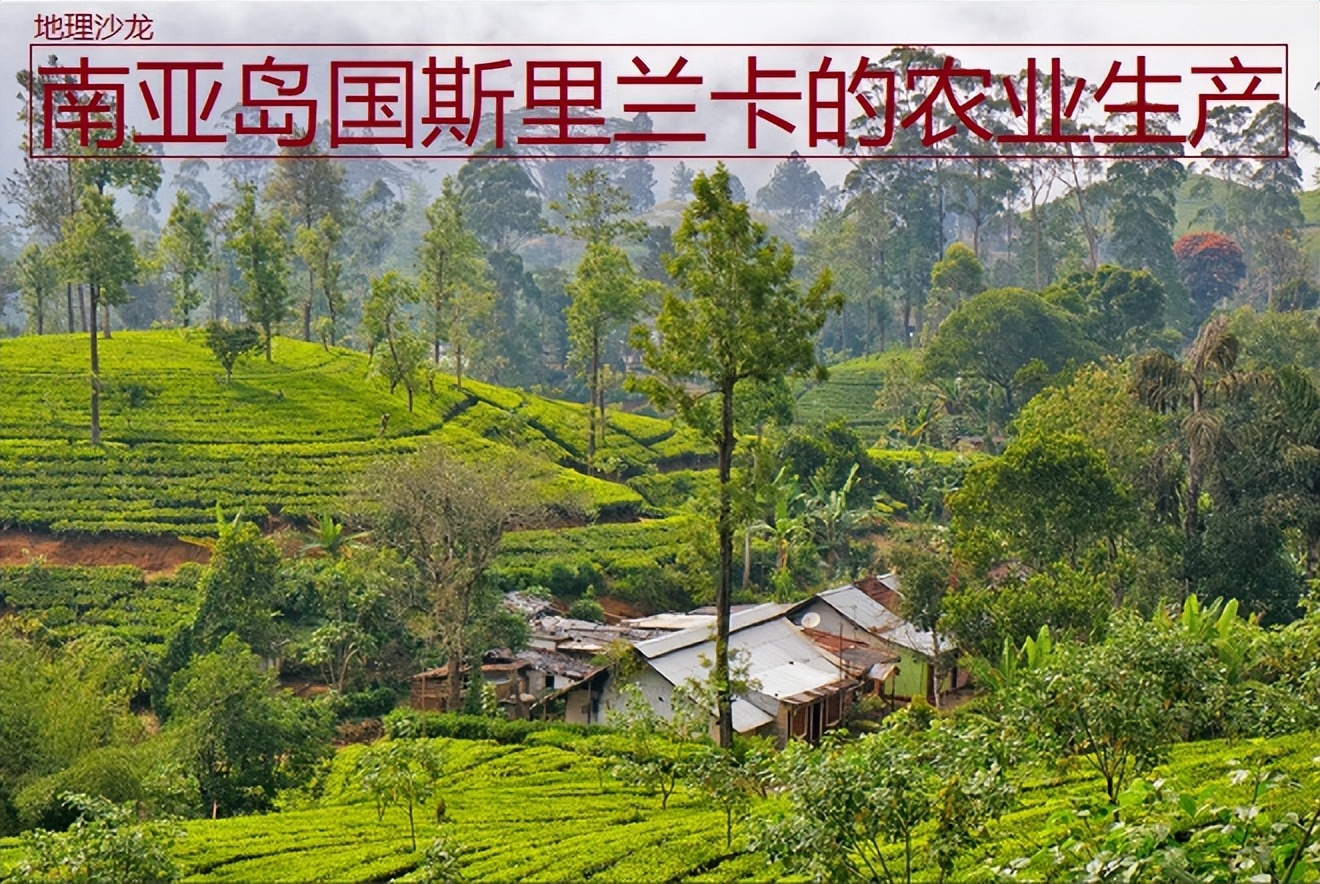 斯里兰卡是哪个国家 斯里兰卡几月份去最好