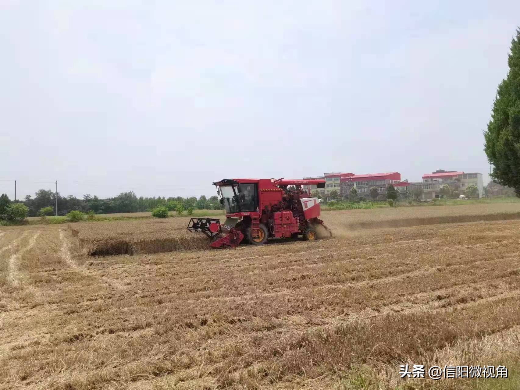 商城县天气预报 商城县即将开工的项目