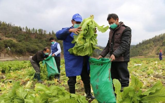 因一包酸菜,导致康师傅,统一流失数亿市值,严钦武到底什么来头