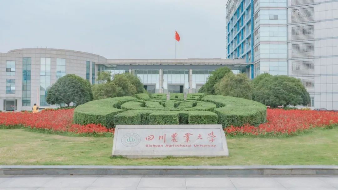 四川农业大学 四川农业大学2023研究生招生简章