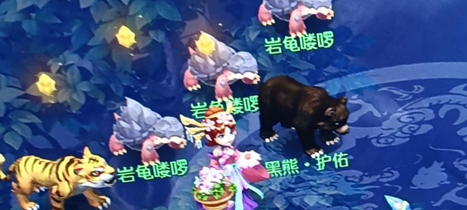 梦幻西游：新手的悲哀，被野生海龟骗走半车高兽决，放生变异海龟