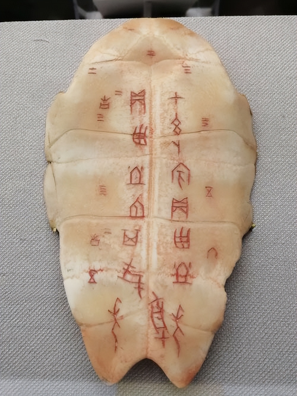 暨是什么意思 仪式暨是什么意思