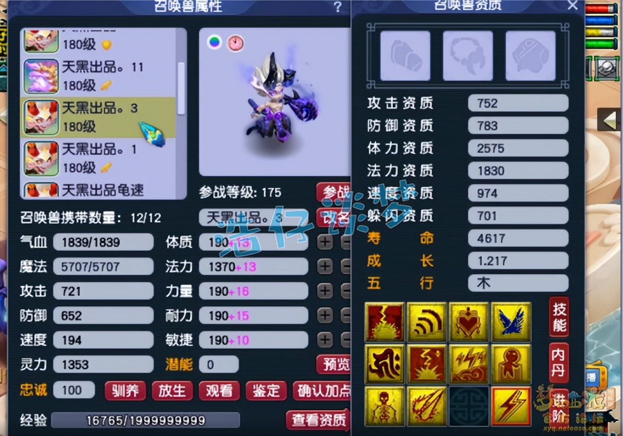 梦幻西游：175级群雄全服第六女儿村，“龟速守尸谛听”见过吗？