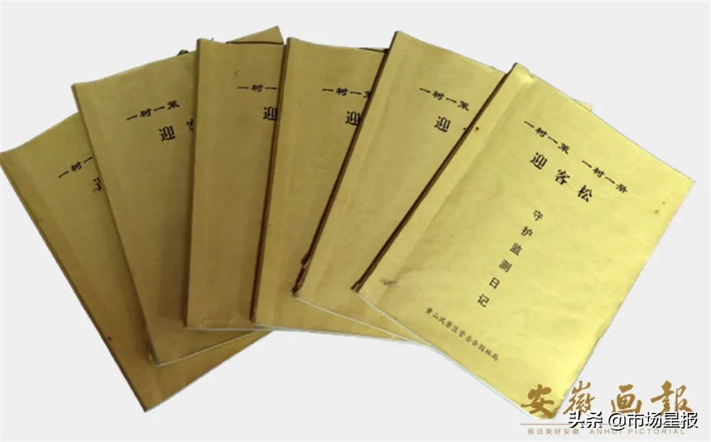 人物访谈 | 第19任黄山迎客松守松人胡晓春:他和他的树