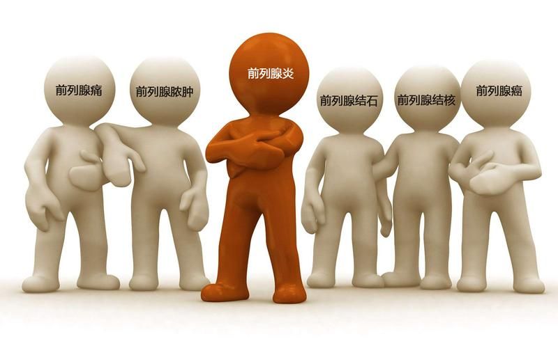 前列腺按摩 前列腺在哪儿位置