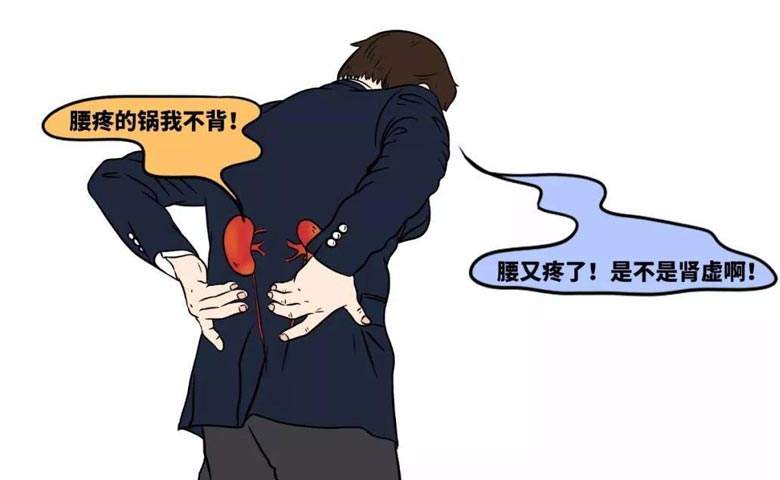 左归丸的功效与作用 左归丸最佳绝配