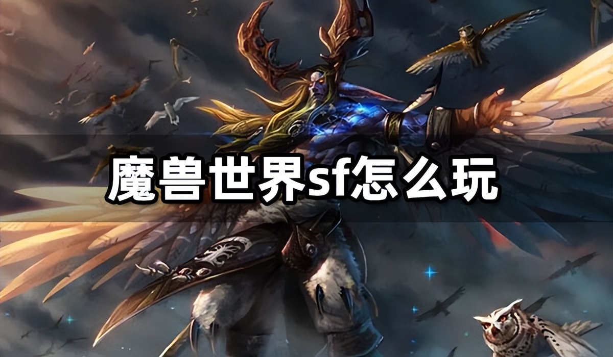 魔兽世界私服 仿官方魔兽世界私服
