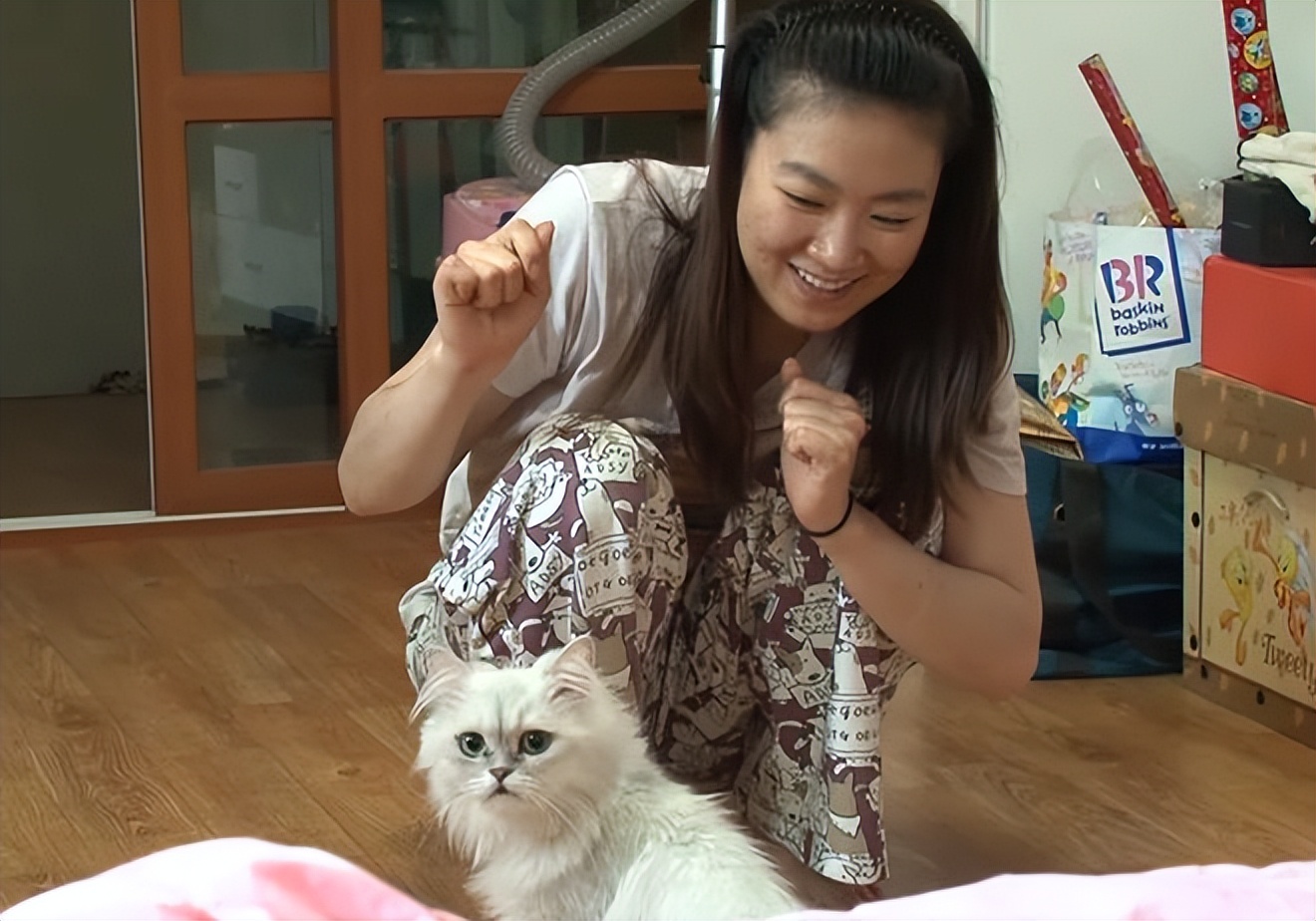 怎么讓qq寵物心情好(我的qq寵物怎么不見了)