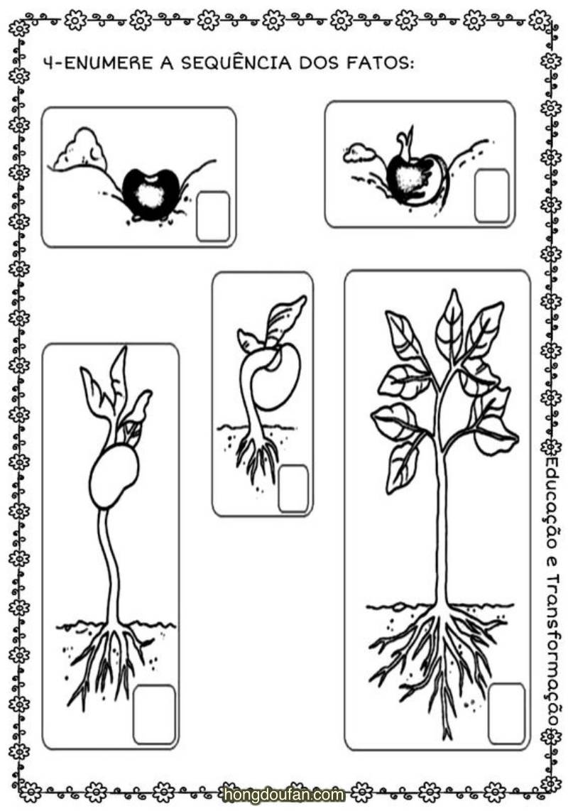 植物生长的记录单要如何画?