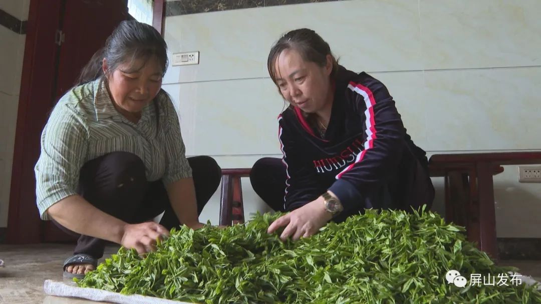 人物田玉英一花独放不是春