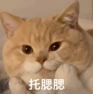 中级经济师考试时间 中级经济师必刷1000题