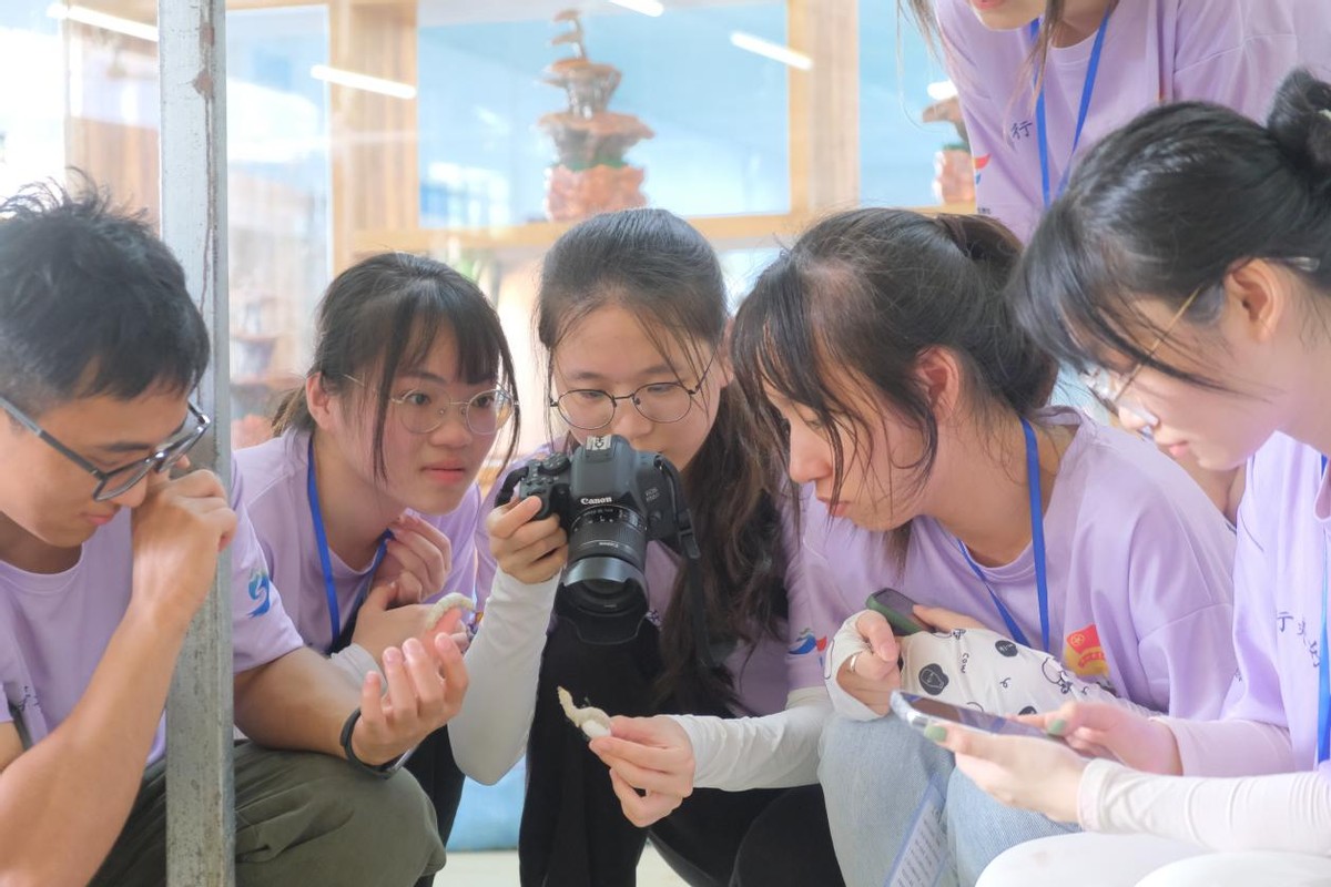 蚕的生长过程 蚕的6个生长过程及文字