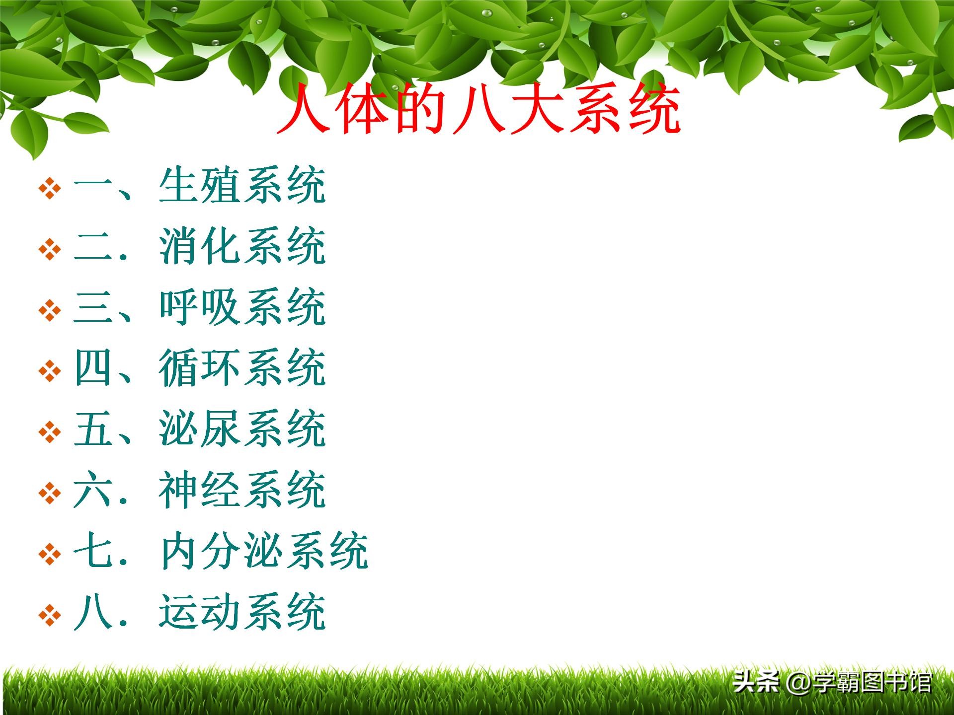 人体八大系统 人体八大淋巴系统
