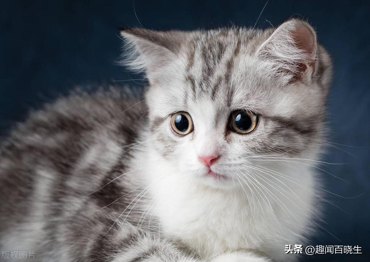 周公解梦大全 免费解梦