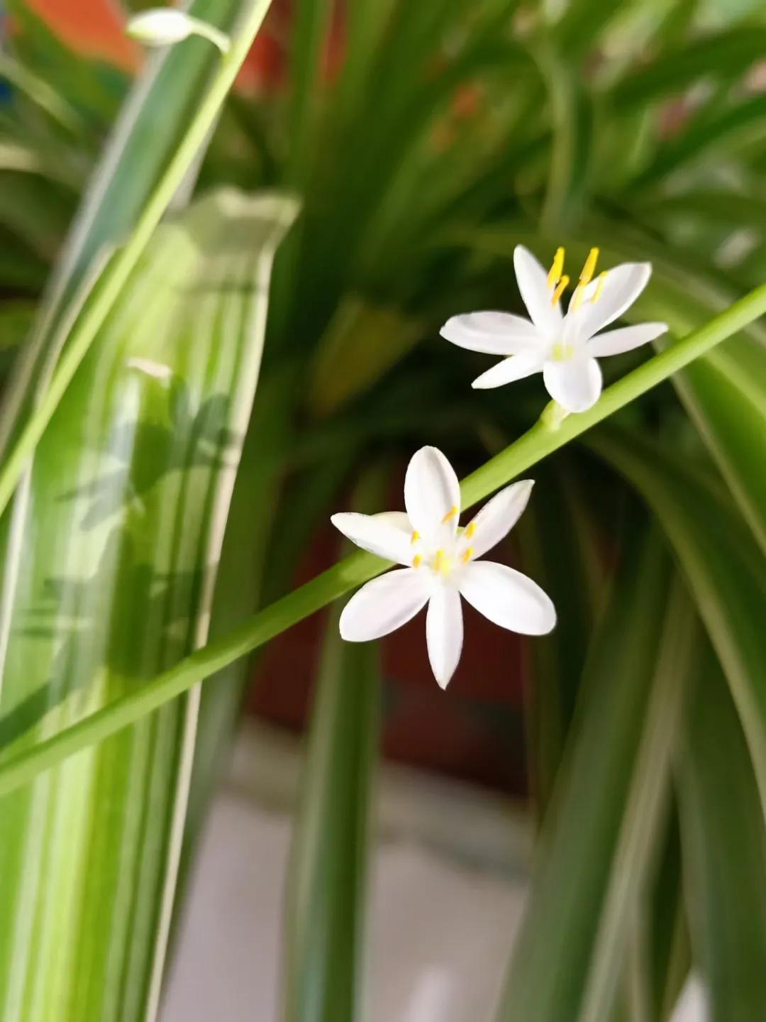 内疚是什么意思 内疚是什么意思解释一下