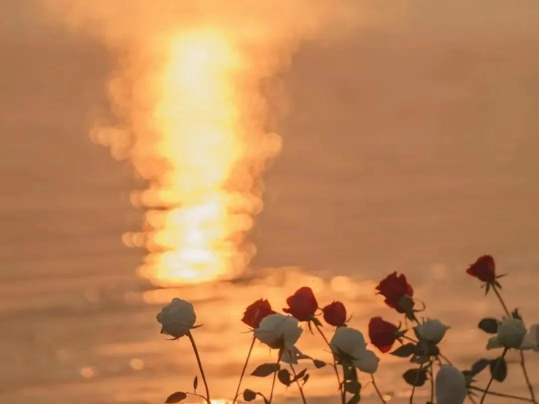 生活需要仪式感