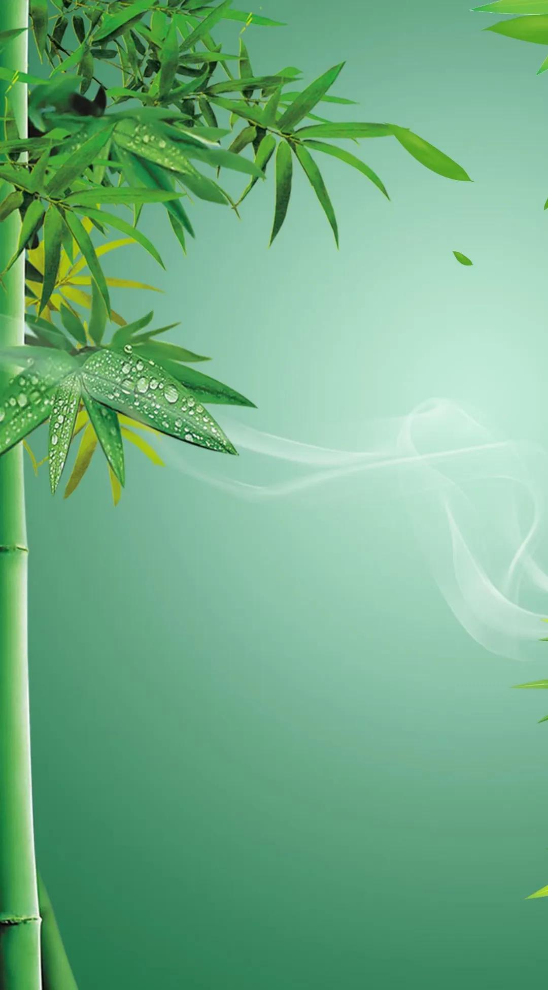 最爱你的那十年 最爱你那十年免费全文
