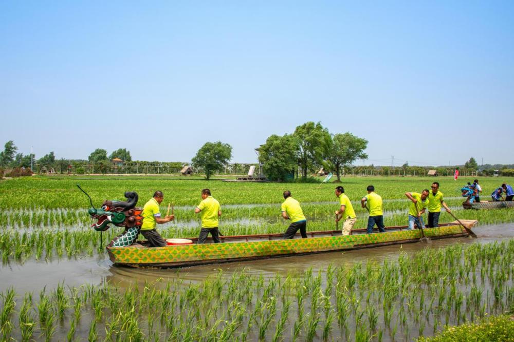 沈阳属于哪个省