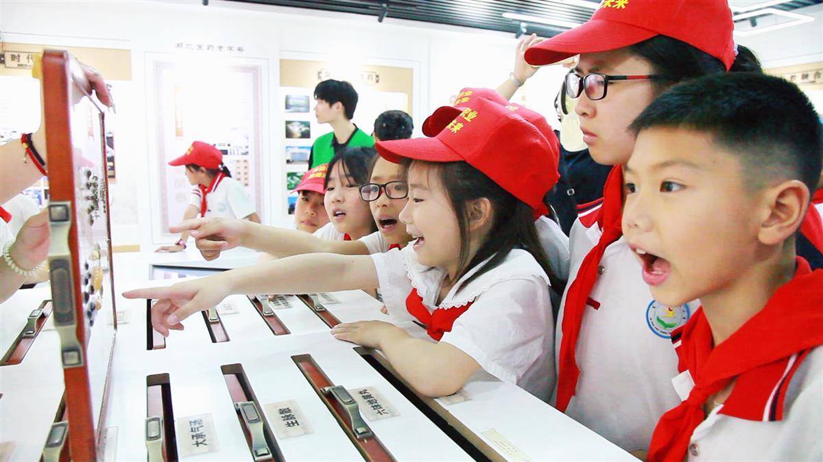 长江职业学院官网(长江日报电子版官网)