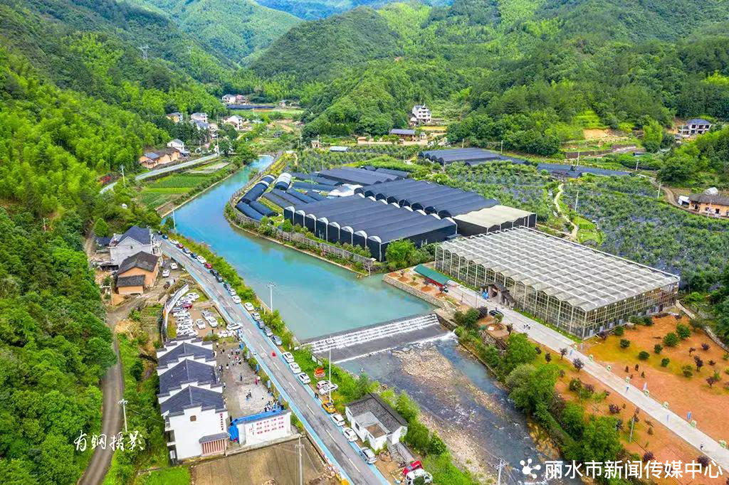 石斛多少钱一斤