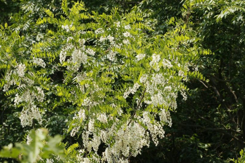 长开头的成语 长开头的成语接龙