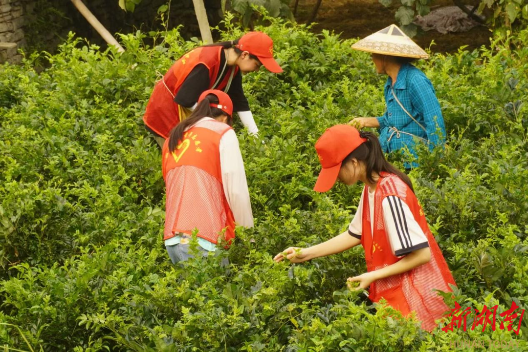 湘西民族职业技术学院 湘西民族职业技术学院学费多少