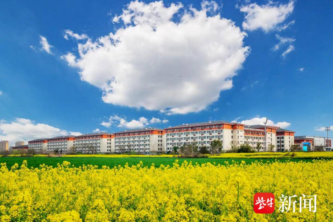 扬州大学广陵学院(扬大广陵学院教务处)