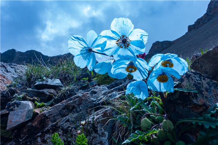 普达措国家公园 普达措国家公园海拔多少米