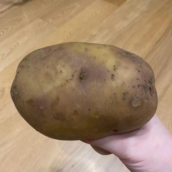 土豆发芽了还能吃吗 土豆冒出小芽还能吃吗