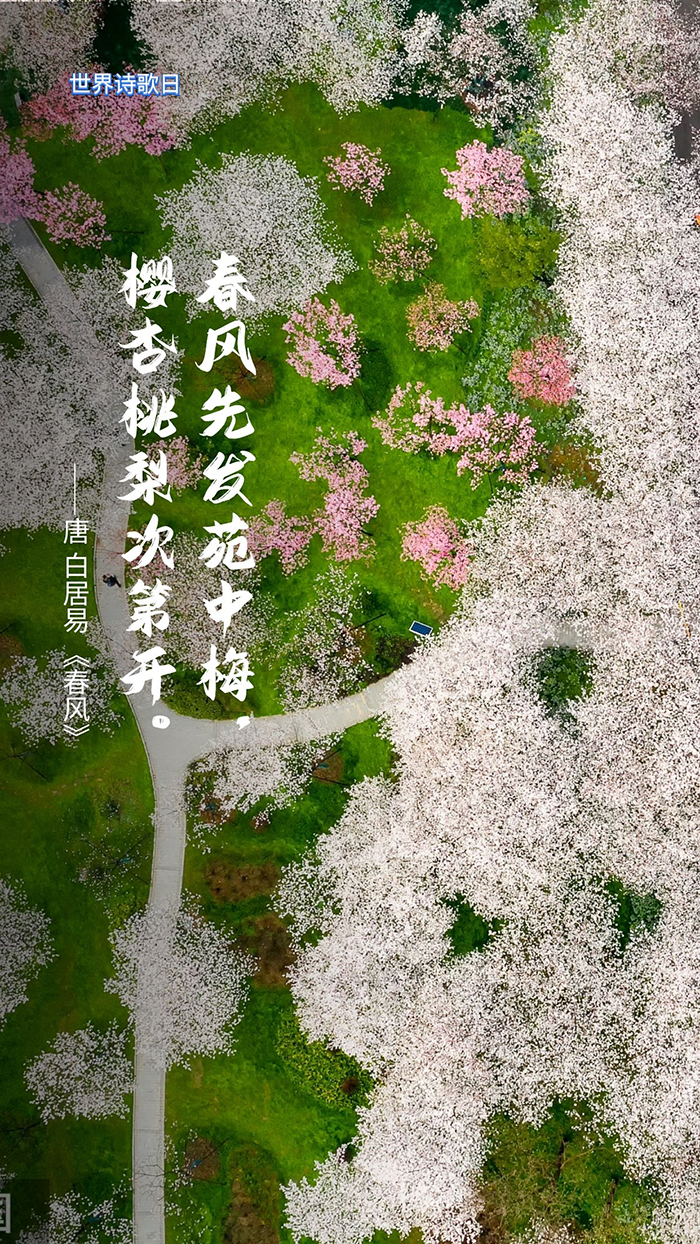 描写春天的诗 描写春天的唯美诗词
