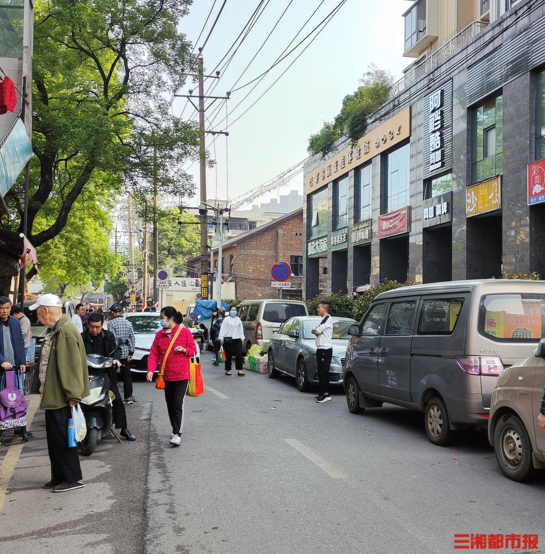 禁止停车标志 禁止停车标线图片