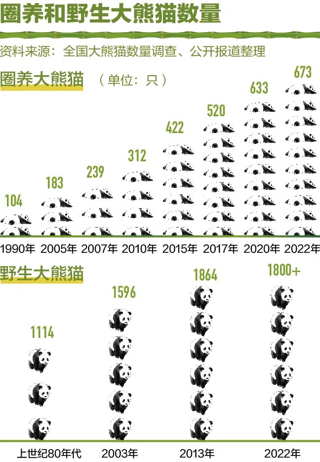 大熊猫的寿命 日本弄死几只大熊猫了