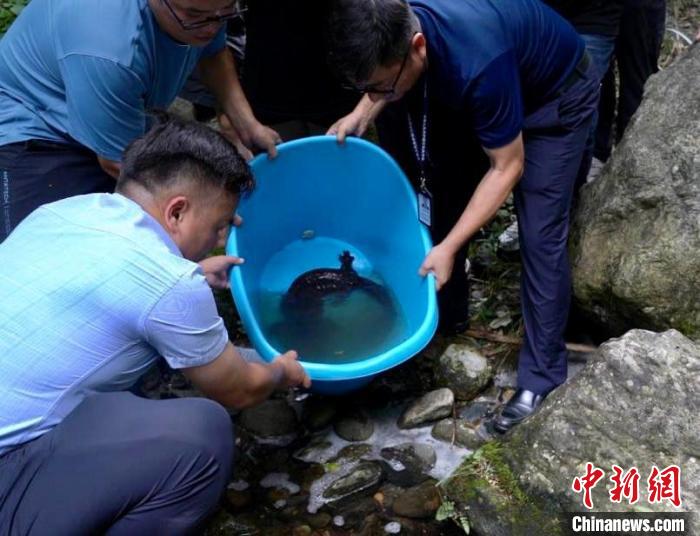 娃娃鱼是几级保护动物 杀野生娃娃鱼判几年
