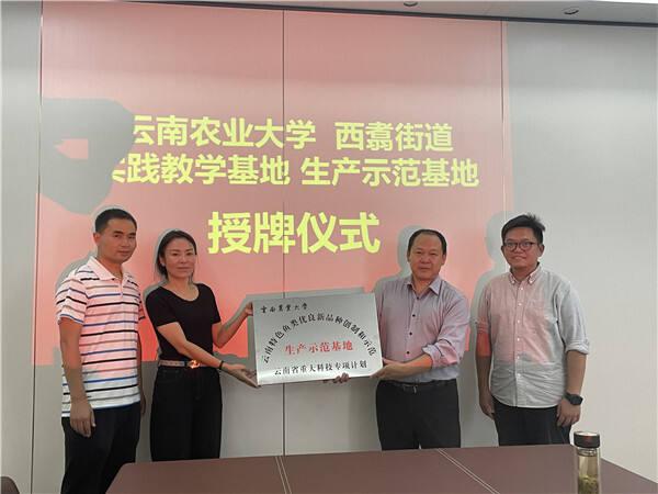 云南农业大学 云南专科学校排名