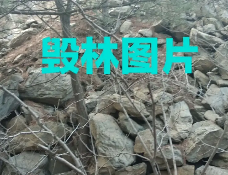 大连甘井子区 大连甘井子区邮政编码