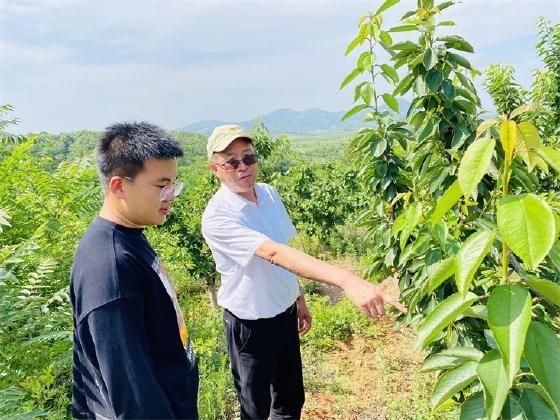 陈章良考察大连瓦房店安格农业樱桃基地-陈章良的公司
