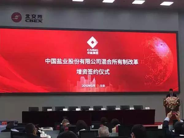 【推荐】中盐集团混改落地！拟引入投资者13家，总投资额30.6亿元-中盐股份上市公司