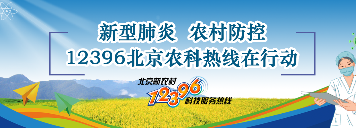 12396北京农科热线新型肺炎农村防控专题上线了，落实疫情防控，支持生产发展-北京惠农基金