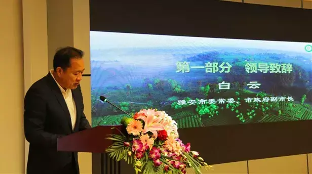 “中国茶质量控制与可持续标准研讨会”在雅安举行-禾众基金会