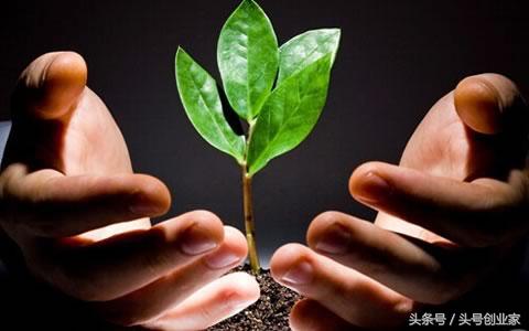 「创业故事」如果给你3000万元，你会用这笔钱干什么？-光禾基金