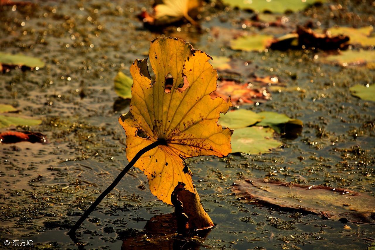 人死了之后去哪里？请听一位还阳者自述-多少人死在股票上面